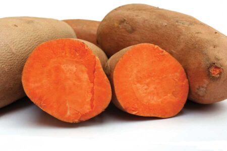 Grow Sweet Potatoes — Even in the North Image